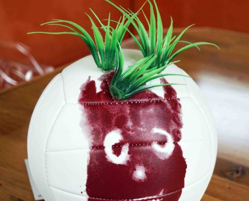 Mein neuer Freund Wilson