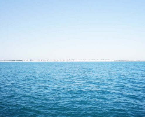 Rota